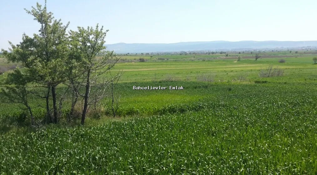 ÇANAKKALE GELİBOLU EVREŞE SATILIK YATIRIMLIK 6300 M2 UYGUN TARLA - fotoğraf 7